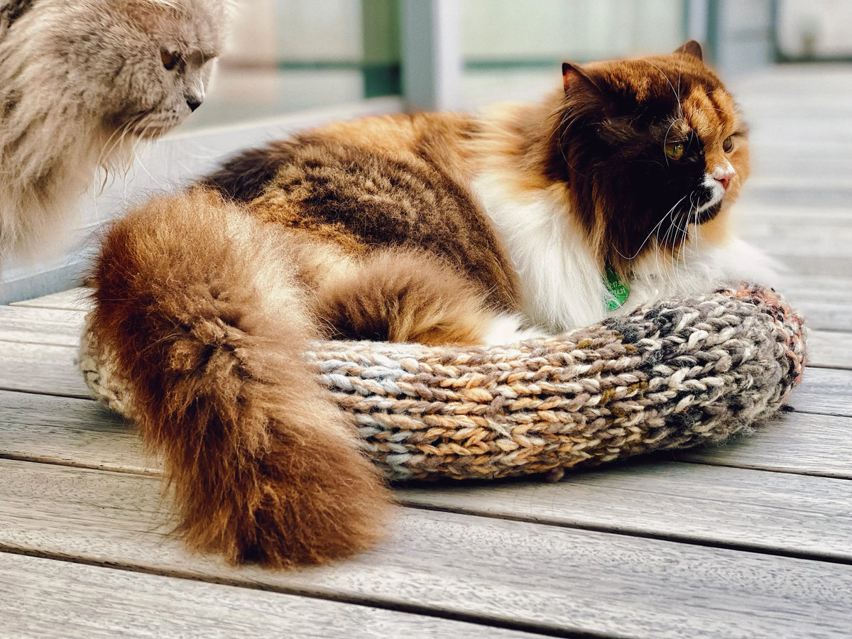 Accessoires pour animaux – Artisanat & matières nobles