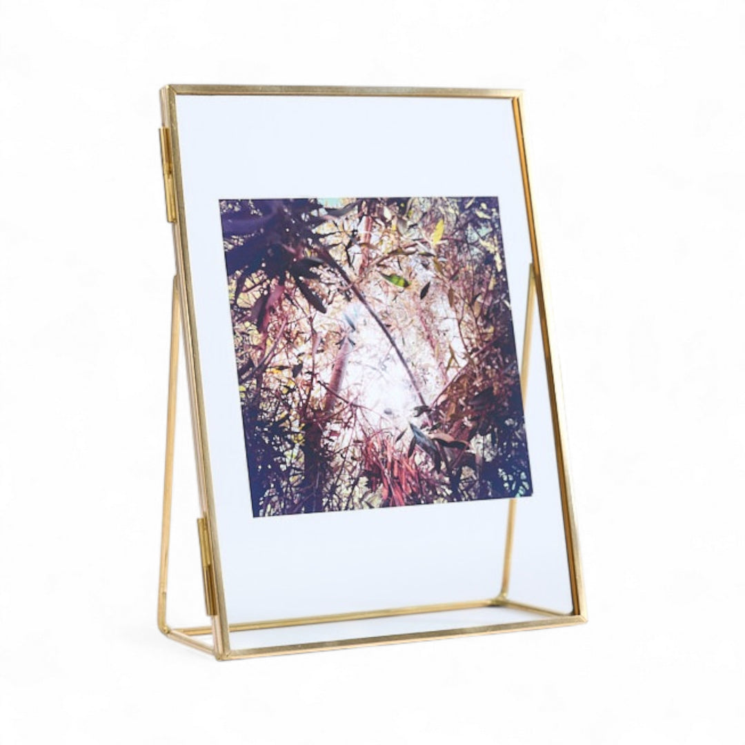 Résistances Végétales - Ana Bloom - Tirage Couleur - Edition limitée signée 10x10cm - Studio Matongé