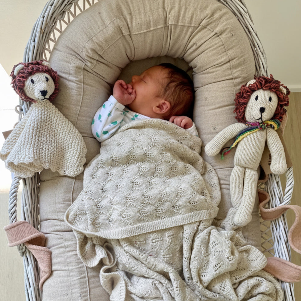 Coffret Cadeau de Naissance – Les Duos Craquants – Lions