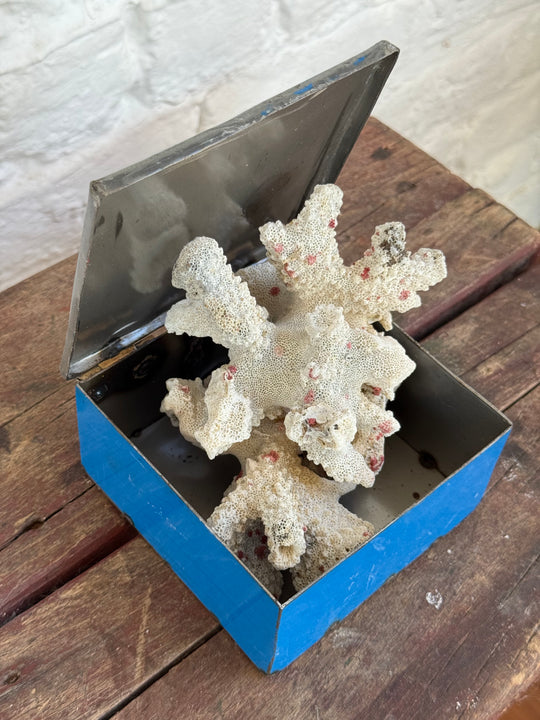 Boîte RANGI en métal recyclé bleue ouverte contenant un corail décoratif blanc, sur un tabouret en bois.