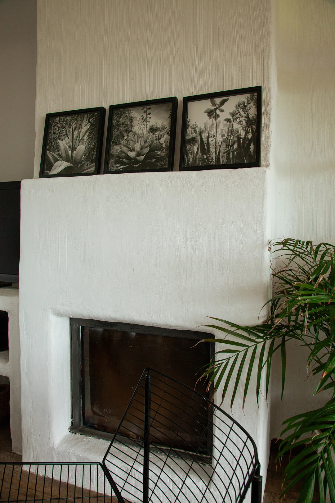 Triptique de la série Résistances Végétales d'Ana Bloom. Tirages noir et blanc au Piezzo au charbon en format 20x20cm. Série limitée en exclusivité chez Studio Matongé 