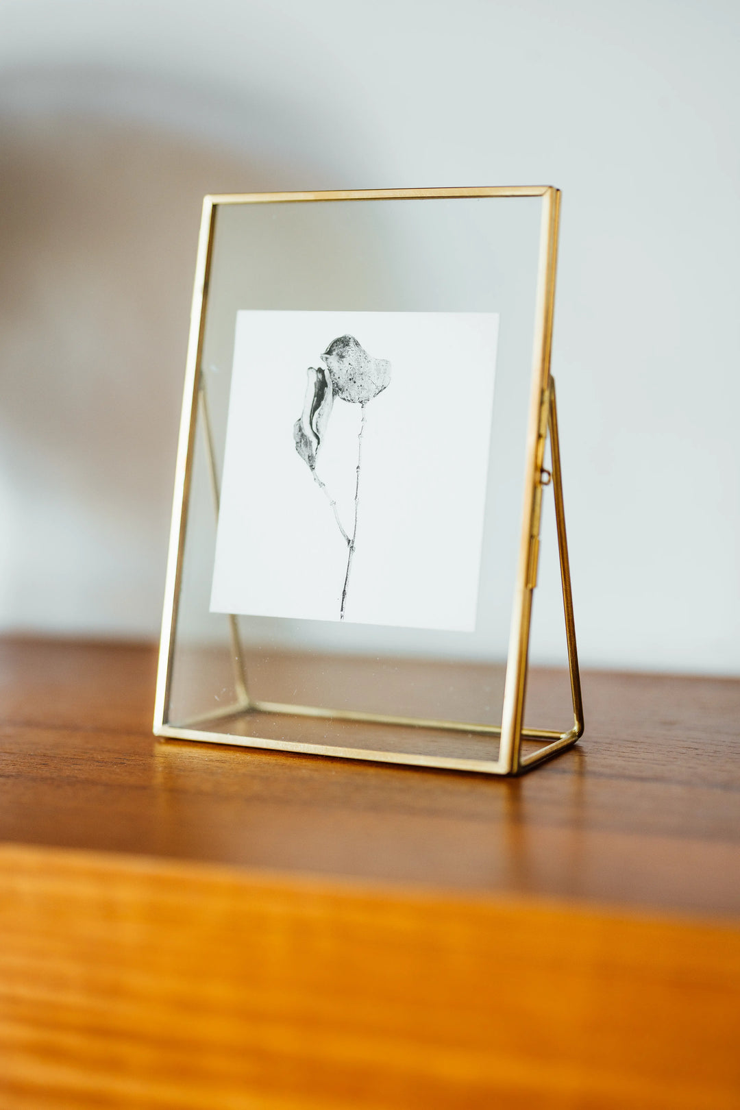 Sur une étagère en bois vintage seventies, Lips on Moon - Résistances Végétales par Ana Bloom. 
Tirage noir et blanc en série limité, encadré et signé de la main de l'artiste. 