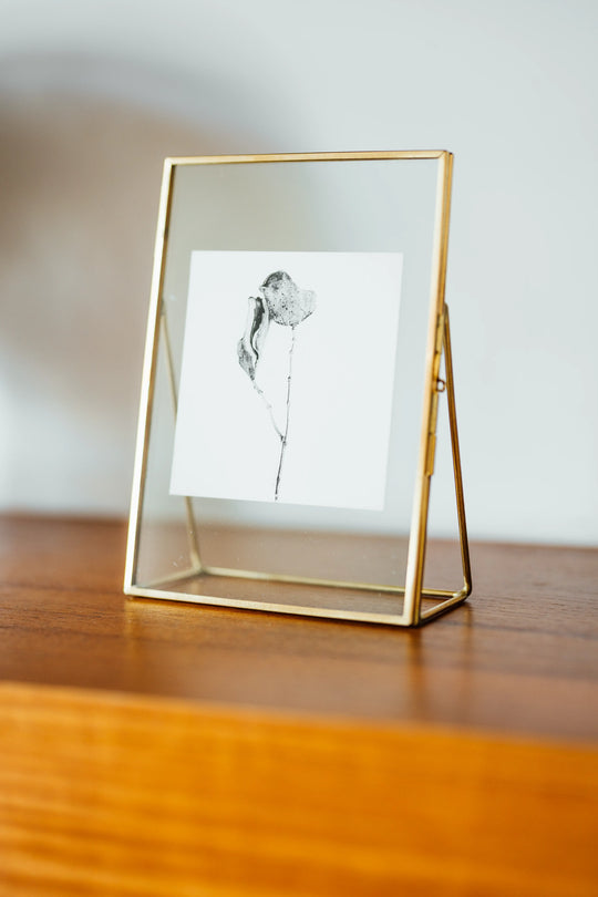 Sur une étagère en bois vintage seventies, Lips on Moon - Résistances Végétales par Ana Bloom. 
Tirage noir et blanc en série limité, encadré et signé de la main de l'artiste. 