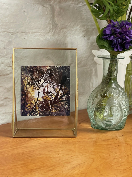 Yellow Purple Deep Forest - Résistances Végétales par Ana Bloom. 
Tirage couleur en série limité, encadré et signé de la main de l'artiste. 