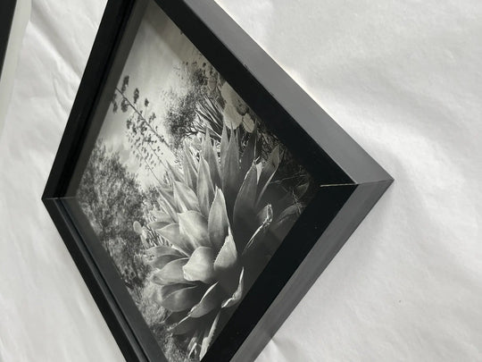 Prêt à rejoindre votre collection, le tirage Floraison issu de la série Résistances Végétales par Ana Bloom, photographe plasticienne. Série limitée de 50 (+2EA) en exclusivité pour Studio Matongé. Edition numérotée, signée et encadrée. 
Dimension tirage 20x20 cm