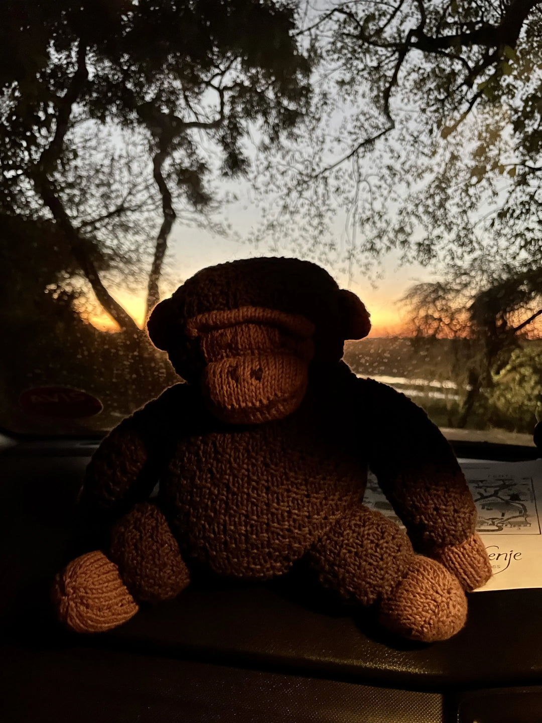 Safari photos au Botswana avec ROGER, peluche gorille faite main, en coton bio certifié GOTS - Studio Matongé